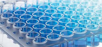 We offer the determination of endomysial antibodies in the form of an ELISA kit