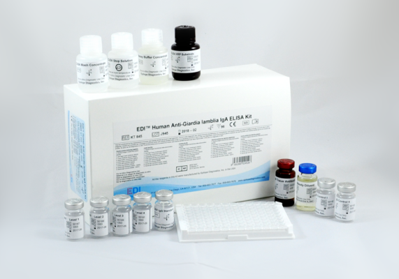 Human Anti-Giardia lamblia IgA ELISA Kit