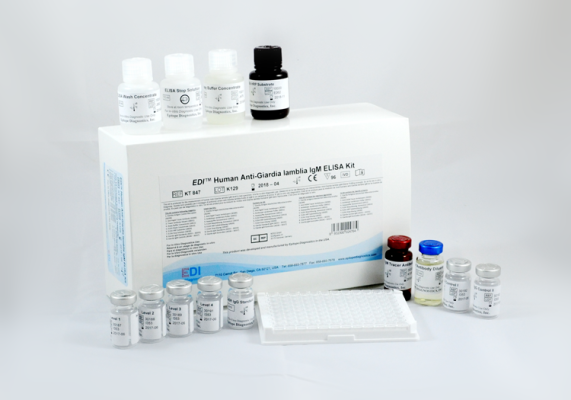 Human Anti-Giardia lamblia IgM ELISA Kit